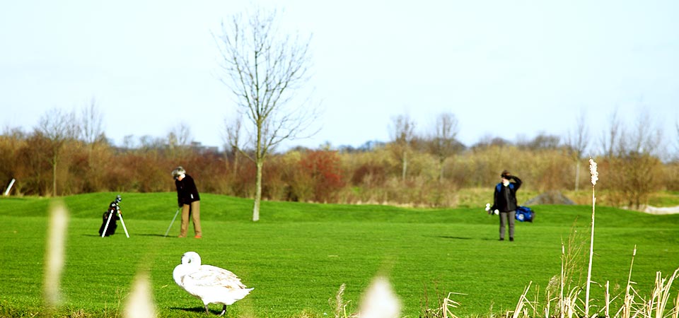 Slideshow Image 1